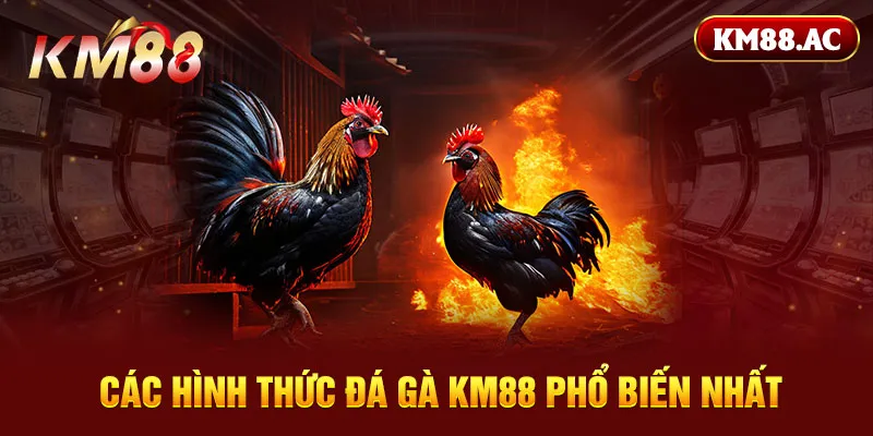 Các hình thức đá gà KM88 phổ biến nhất